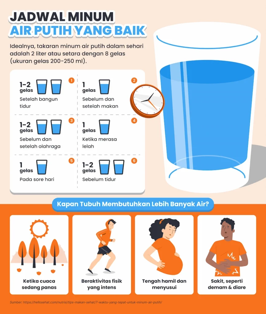 jadwal minum air putih yang baik